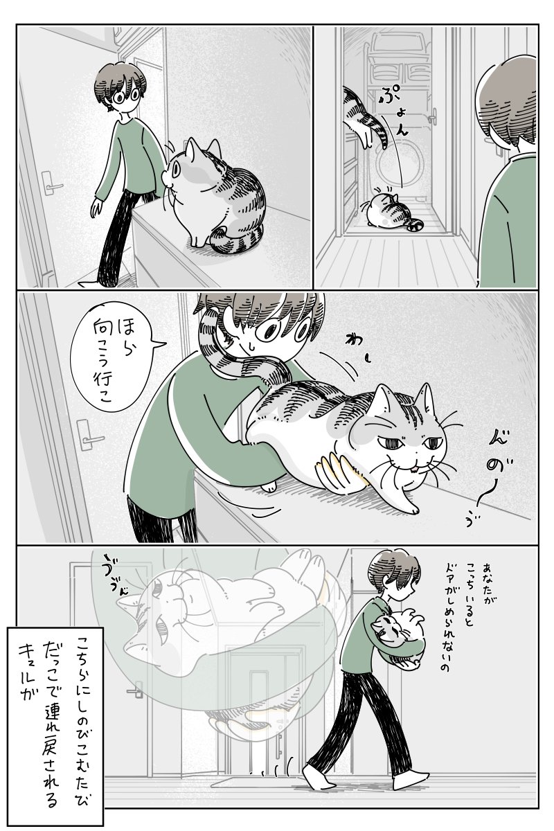 連れ戻されるネコ
https://t.co/XC5n1KMBYf 