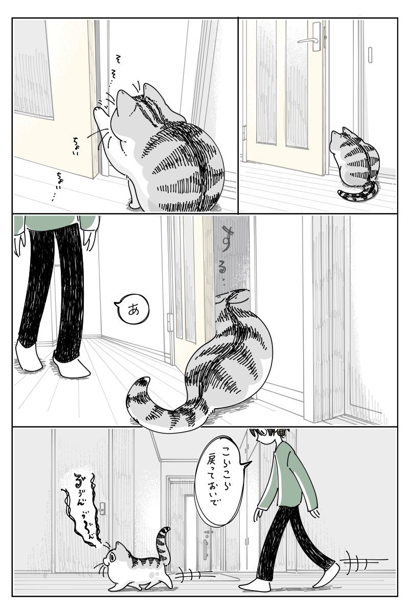 連れ戻されるネコ
https://t.co/XC5n1KMBYf 