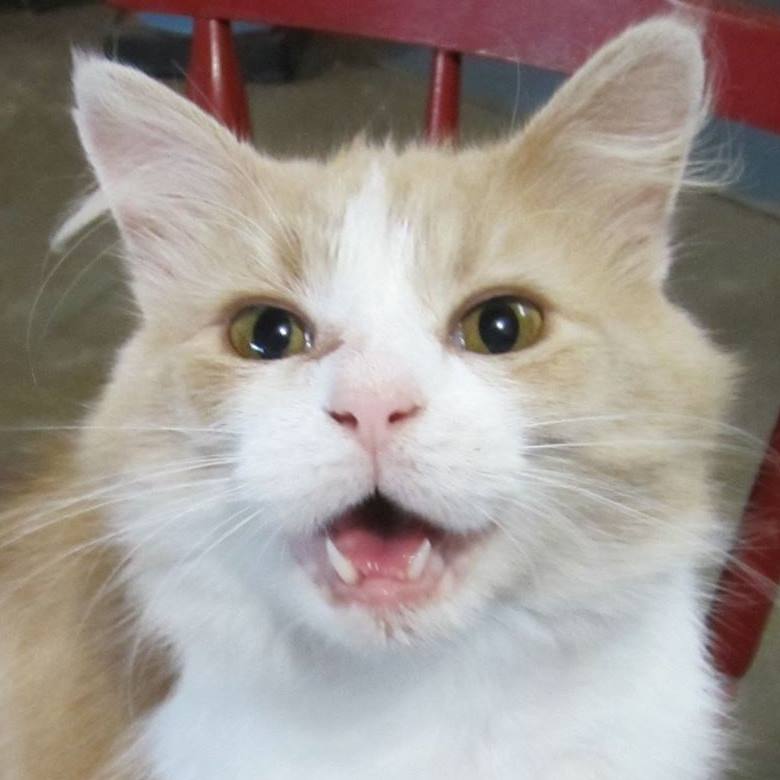 David Raymond61959😘🥰🤗🌷🥀🌺 (@thomasjohn79076) on Twitter photo 