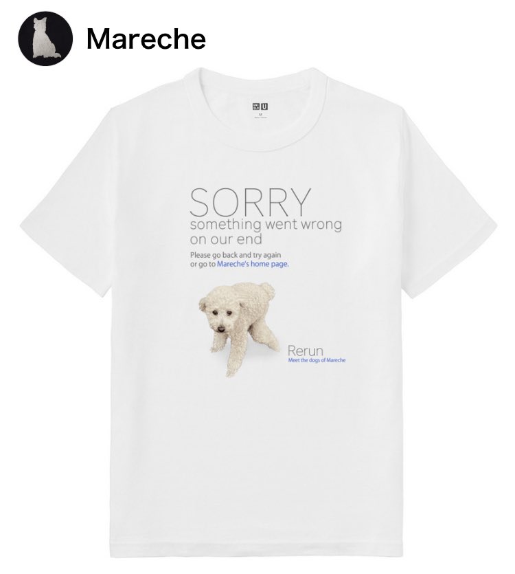 うちのﾝﾁｨ犬T