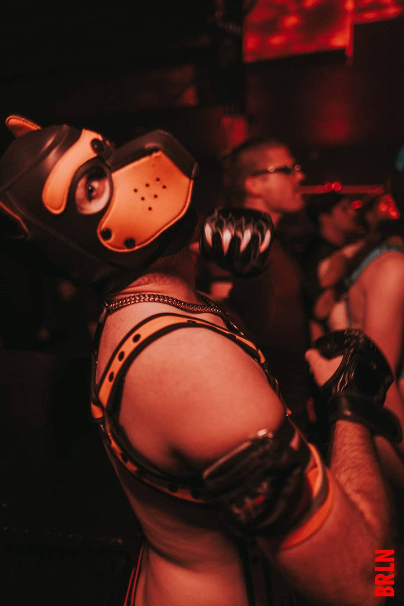 Pup Kayos tweet media