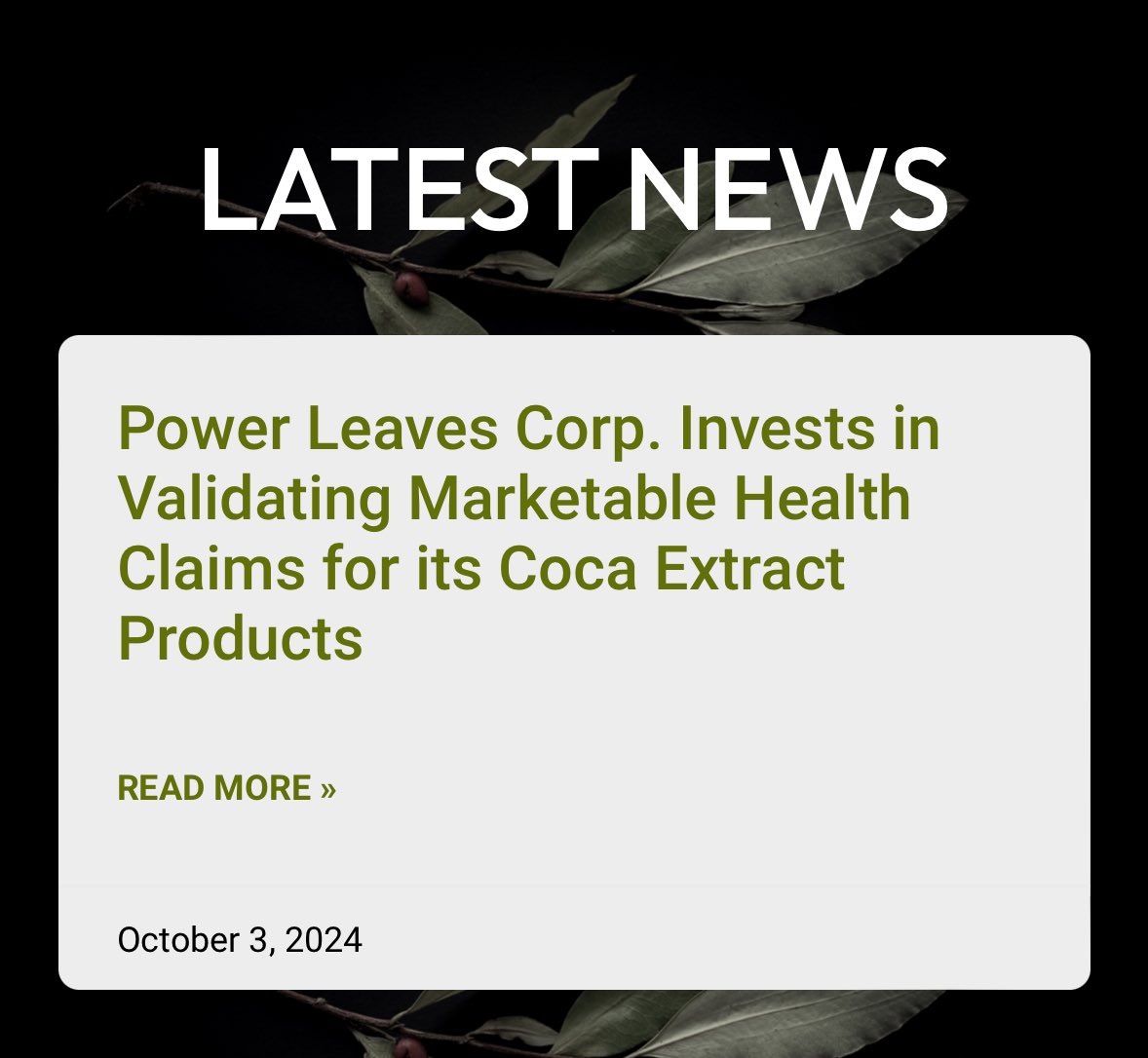 powerleavescorp's tweet photo. We’re excited to announce that we’re developing a clinical study to assess the impact of our coca leaf extract on boosting energy and supporting appetite control. Stay tuned for more updates! #CocaLeaf #Wellness #Innovation

https://t.co/4GdsnbHSX2 https://t.co/uYlNjbOZbw