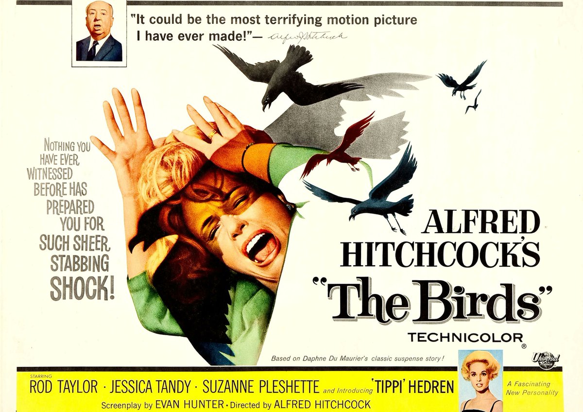 ADHDDVDpod's tweet photo. Coming to the pod this month as we leave SepTIMEber in the past and move on to the scary sights of Spooktober!

10/4: Creepshow
10/11: 1408
10/18: The Birds
10/25: The Thing https://t.co/9R7B7huIA8