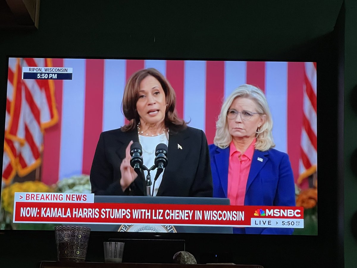 closemindedjerk's tweet photo. Seen this, @aljopainter?  Cats &amp; dogs living together, water running uphill, and a Cheney and the Dem nominee for the US Presidency vibing on TV re: her candidacy: #yegodsandlittlefishes https://t.co/ZNQ8uDywd3