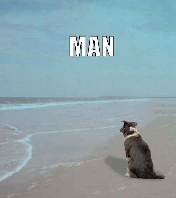 hashtagdogcoin's tweet photo. when my hooman goes on a walk without me

#dog https://t.co/CdNeVNRu3H