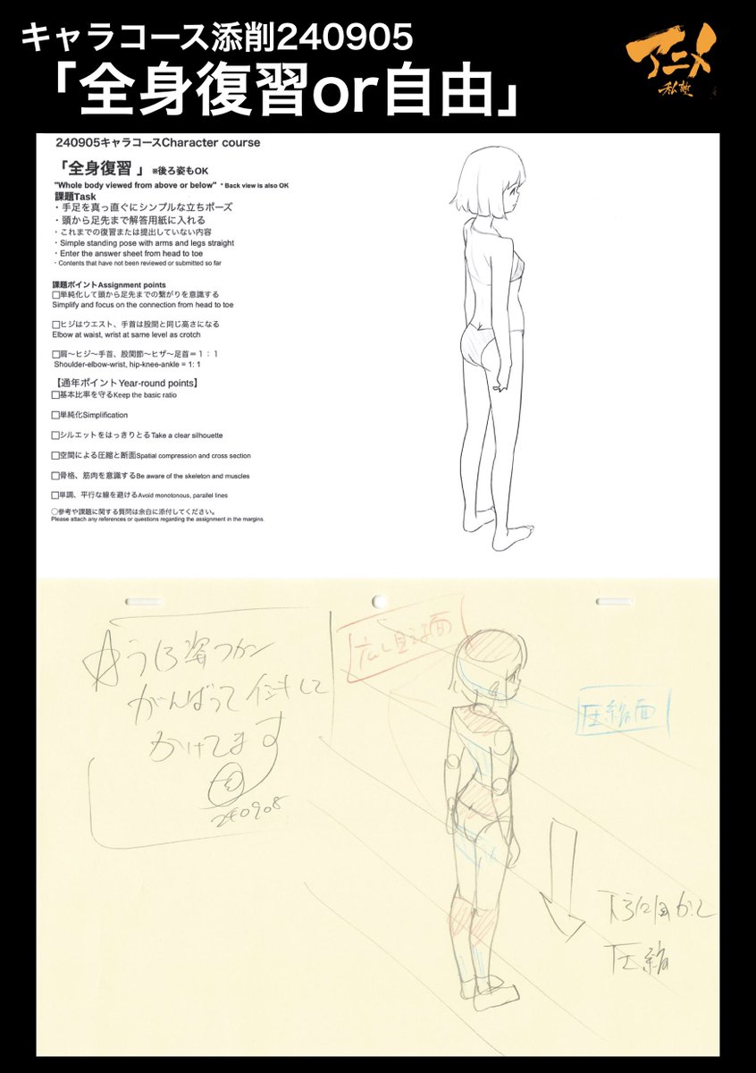 キャラコース添削240905「全身復習or自由」
●下方に向かって圧縮 