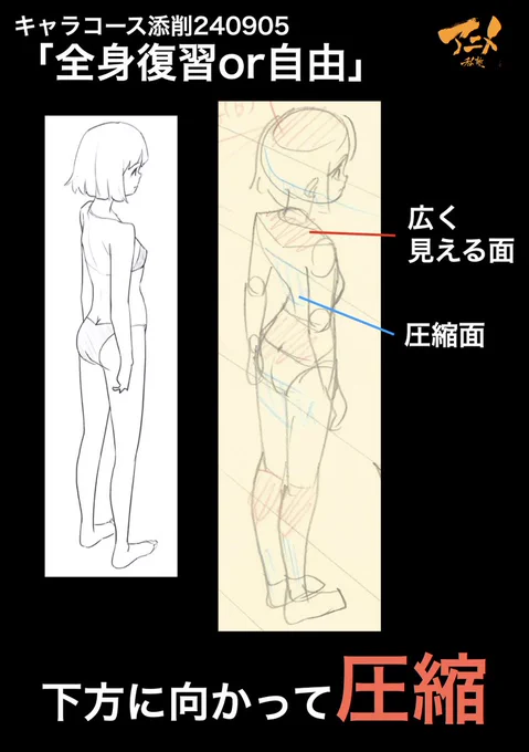 キャラコース添削240905「全身復習or自由」
●下方に向かって圧縮 
