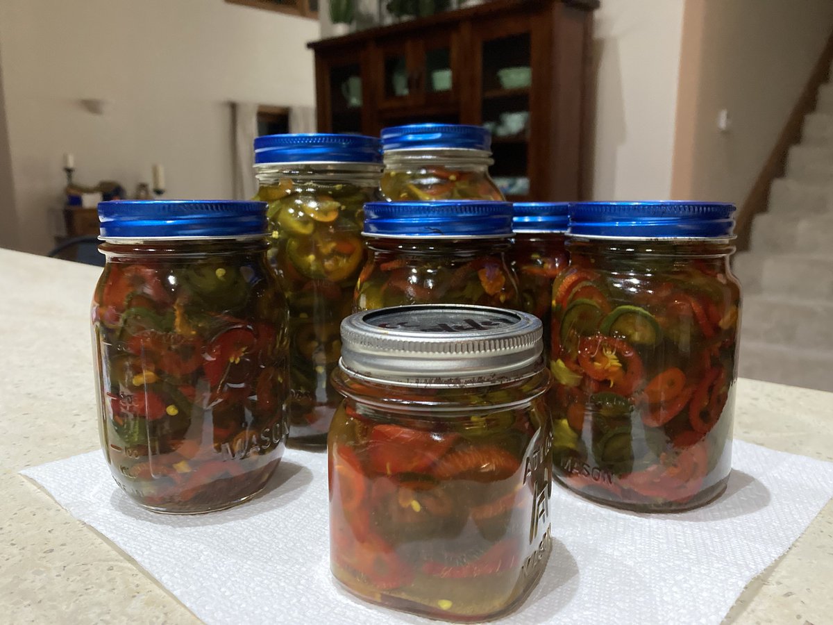 10PointFarms's tweet image. Cowboy Candy day! This year’s jalepeños are 🔥🔥🔥🔥🔥