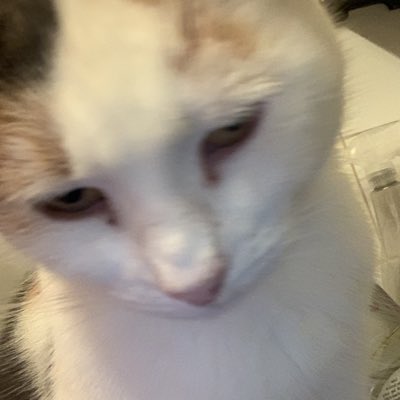 leaks8239's tweet photo. #NewProfilePic https://t.co/ZKmoIIYH90