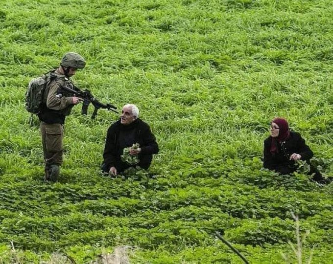 The land, 
The land owners, 
And the invader.  
📍- Palestine