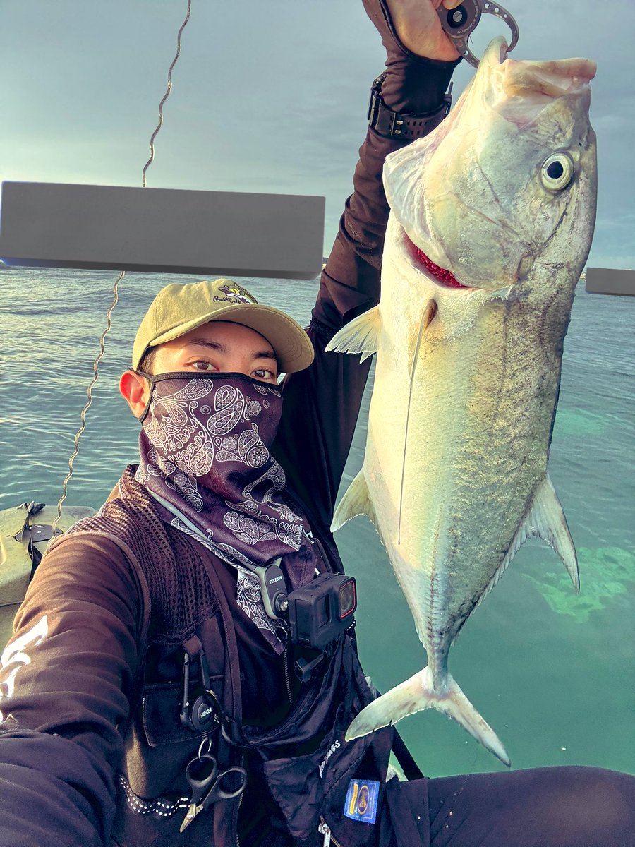 baitballYN's tweet photo. 短時間釣行
GTはかけれなかったけど

オニヒラアジ71cm
ロウニン60cm
タマン　50アップ2匹
と大満足

オニヒラアジはめっちゃ引きました😏 https://t.co/aZ1myn9v45