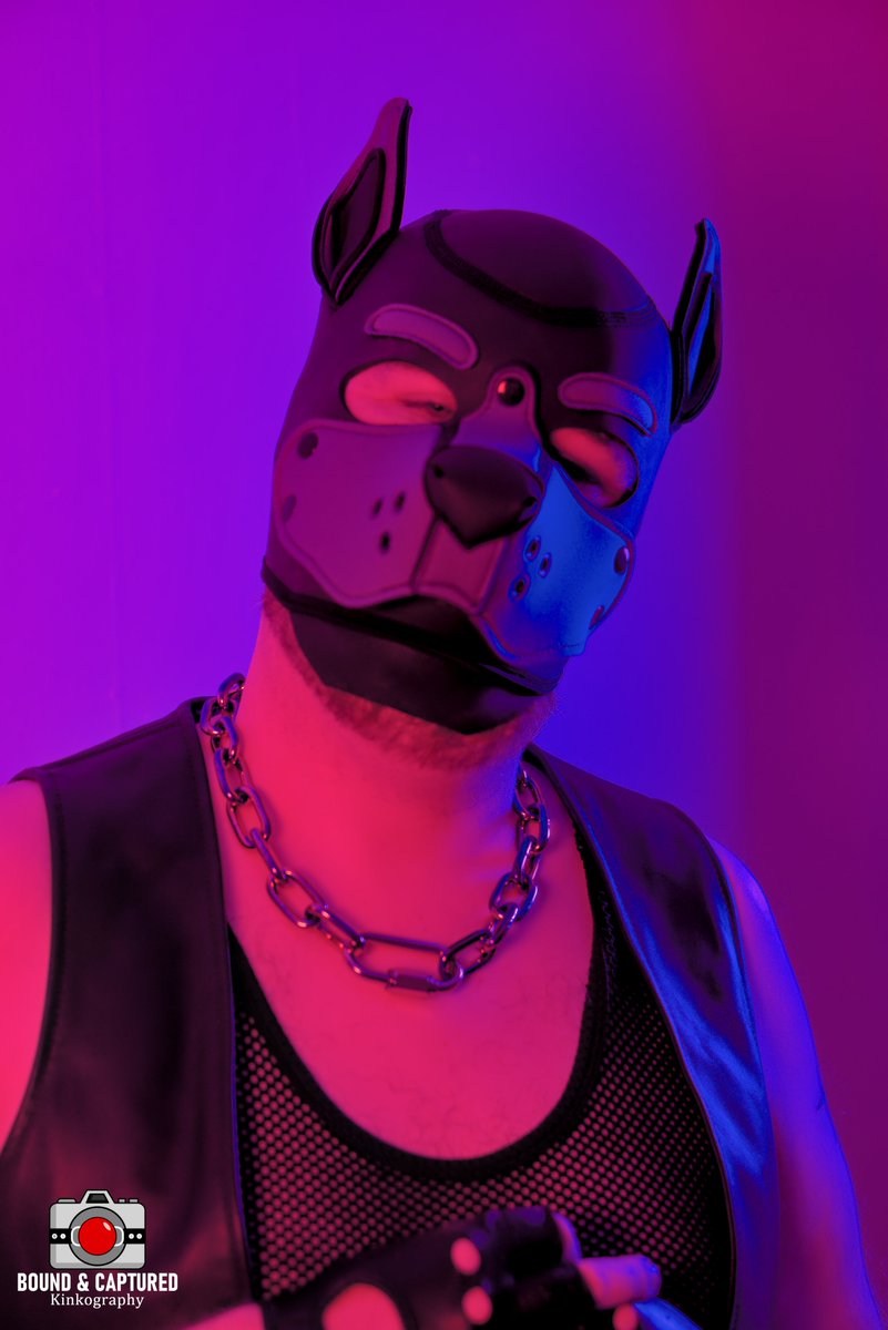 Cute puppy alert!!
<a href="/AldurSFC/">Aldur Cervy</a> was so gracious to let me test out my brand-spanking new lighting rig for his photoshoot today! I love the results, and it opens up more possibilities for indoor photography!!