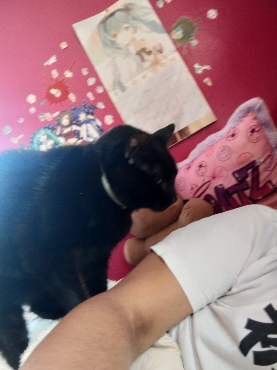 corn‼️🦈🍎🍏 tweet media