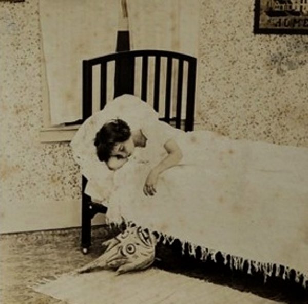 Dreamlander Jason Thompson 🍉 tweet media