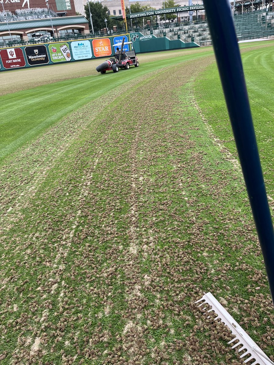 TinCaps_GroundsCrew tweet media