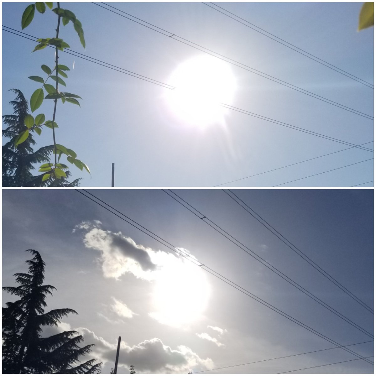 DeborahDodson1's tweet photo. What a difference a day makes! That and the #MOON is no longer in front of the #SUN to filter the glare! #NASA #NASAlies #SolarEclipse #flatearth #EricDubay is #HansWormhat,  #JonLevi &amp; #RobSkiba switchin out #SKINS with her brother #brightgreenbarbi https://t.co/3VH7iWz5Rw