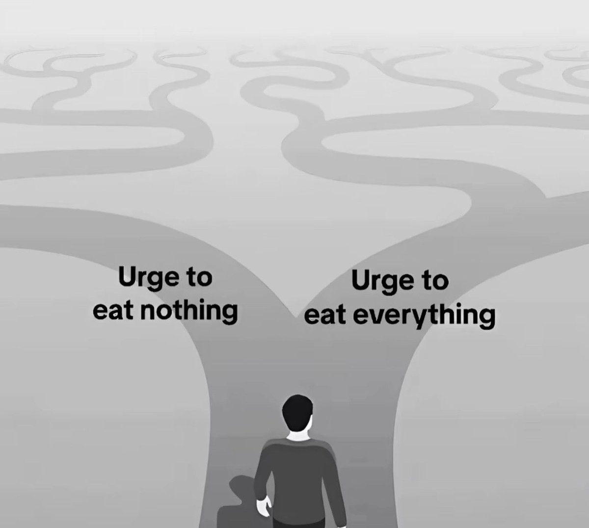 lexi ( ´ཀ` ) tweet media