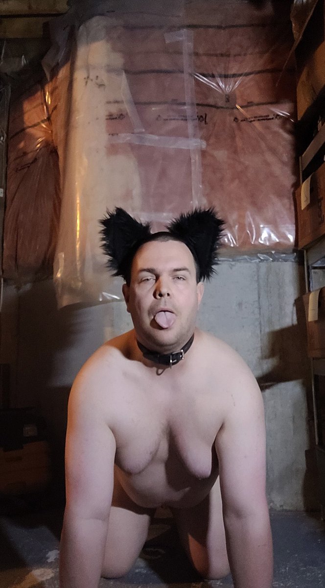 GoddessJen43876's tweet photo. Slave mutts is the best in our mistress associations he deserved to be RAPE THREAT. his kinks include foot fetish , Sexual harrasment a lot more he will be post on both twitter, my onlyfans, tumblr etc Retweet my slave mutt  @Slavemutts24 https://t.co/ARPlchp0Ec