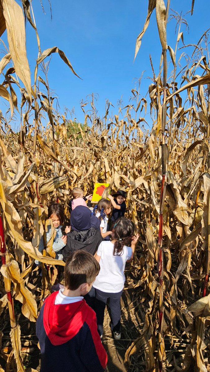 granchellid's tweet photo. @granchellid 
A fun-filled October day, exploring at the farm! @StStephenCES @YCDSB https://t.co/gJAXztG4Cf