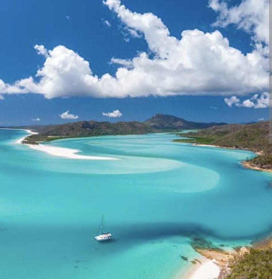 Ben Shepherd tweet media