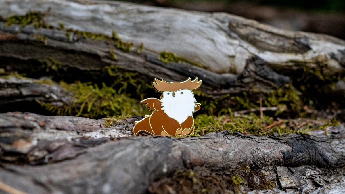 2025 Calendar is being finalized (and stickers on the way)
Owlbear Accessories just got their in-hand review
an adorable ABC book is soon to launch
Big website update (and sale) is coming 
...its been a busy month