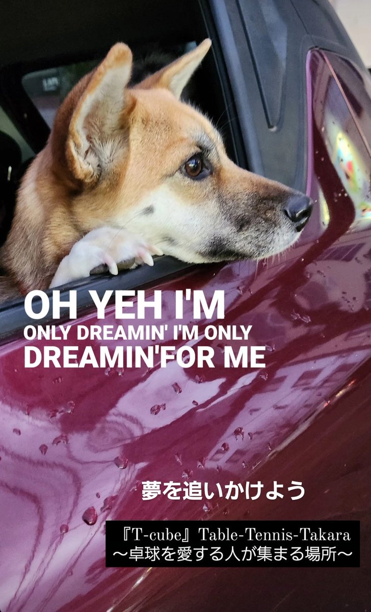 Tcube_ttt2020's tweet photo. 誰にだって夢がある…
#DREAMIN' #Tcube #テーブルテニスタカラ https://t.co/UVQuu50QgA