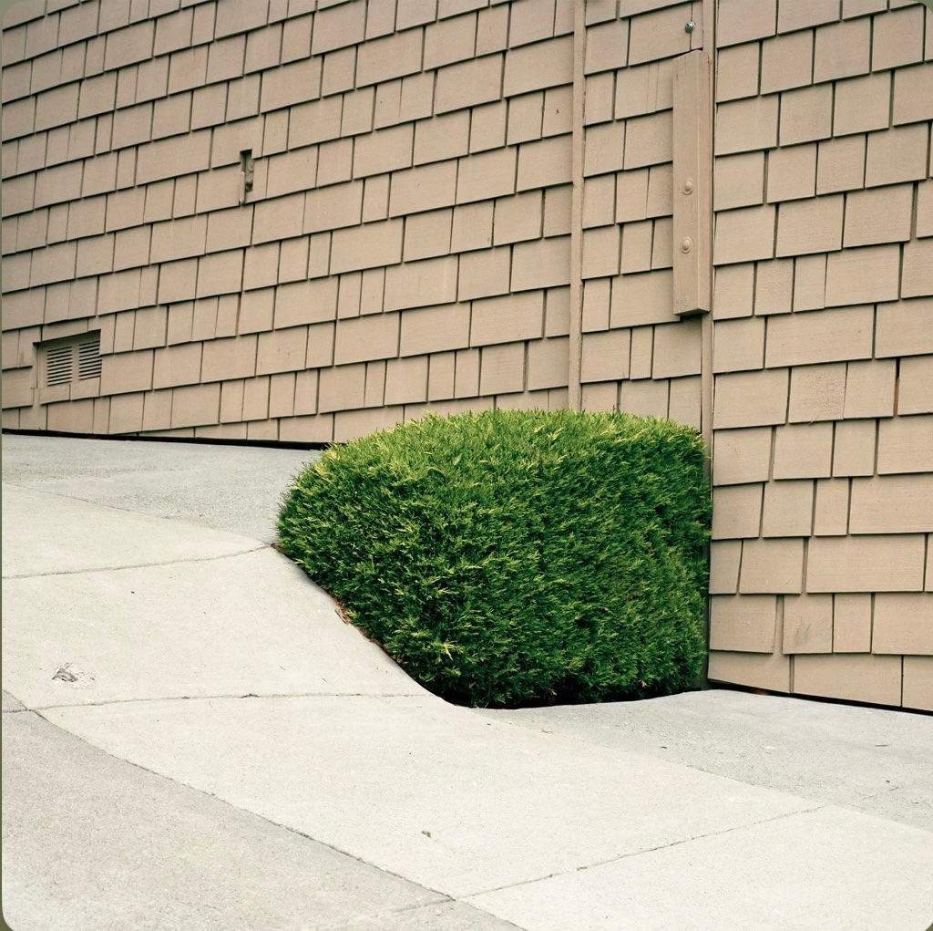 coup d’brah tweet media