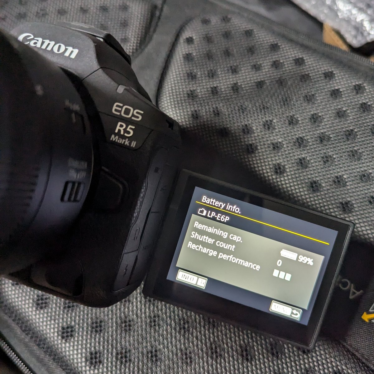 Travis Carter tweet media