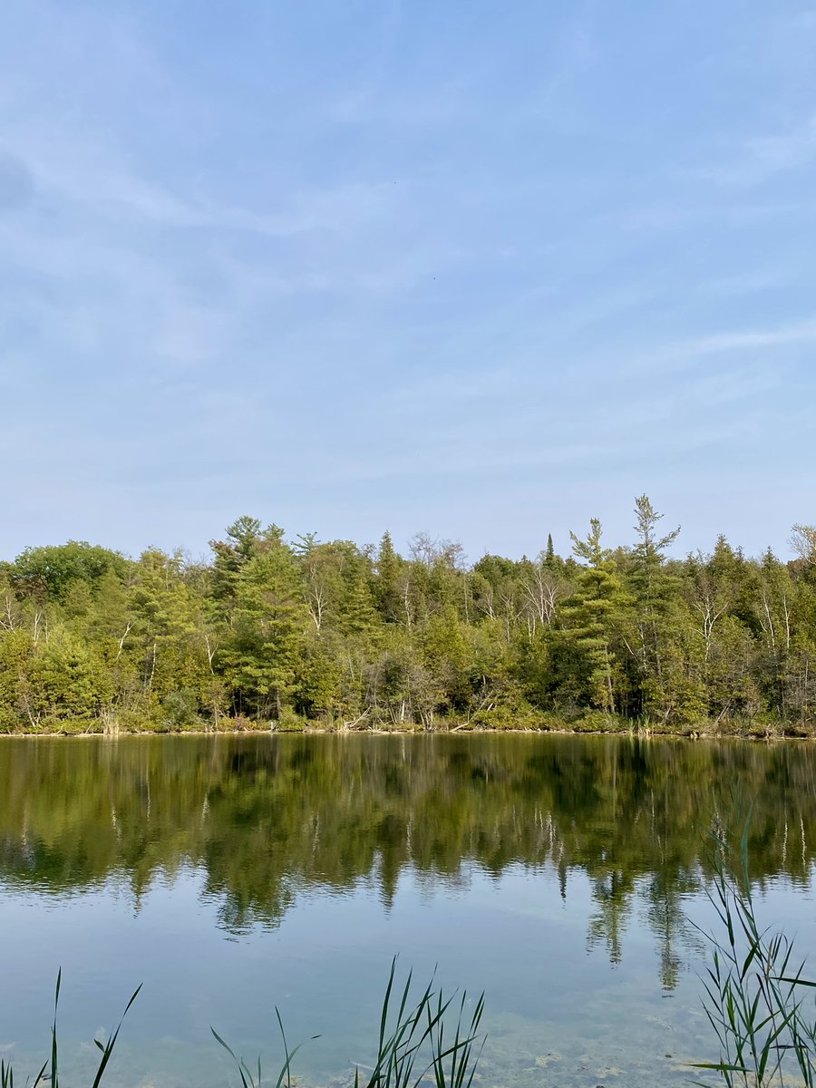 The Riverwood Conservancy π (@yourriverwood) on Twitter photo Many thanks to <a href="/ConservHalton/">Conservation Halton</a> for having us over at Crawford Lake and giving our staff a chance to learn more about the area's geology, wildlife, and Indigenous history! We had a great time! π Many thanks to <a href="/ConservHalton/">Conservation Halton</a> for having us over at Crawford Lake and giving our staff a chance to learn more about the area's geology, wildlife, and Indigenous history! We had a great time! π