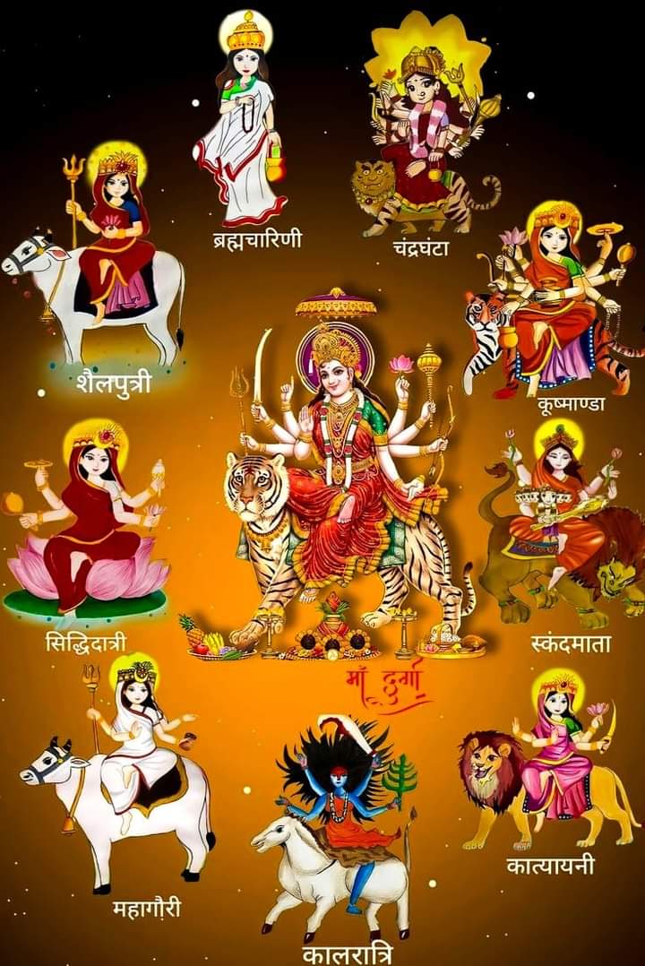 Kripa Shrestha tweet media