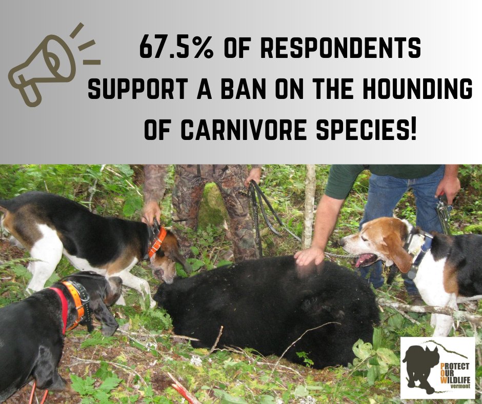 In a recent national public survey conducted by <a href="/csu720/">ColoradoStateUniversty</a>, in collaboration with <a href="/ProjectCoyote/">Project Coyote</a>, there is a large amount of support for banning hounding on carnivore species. It's always great to see support for the wildlife protection movement! 🐻

#BanHounding #nhpolitics
