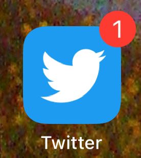 jake_wiest's tweet photo. it’s still twitter on my phone ahhhhh you mad @elonmusk https://t.co/gcdqZJdBCT