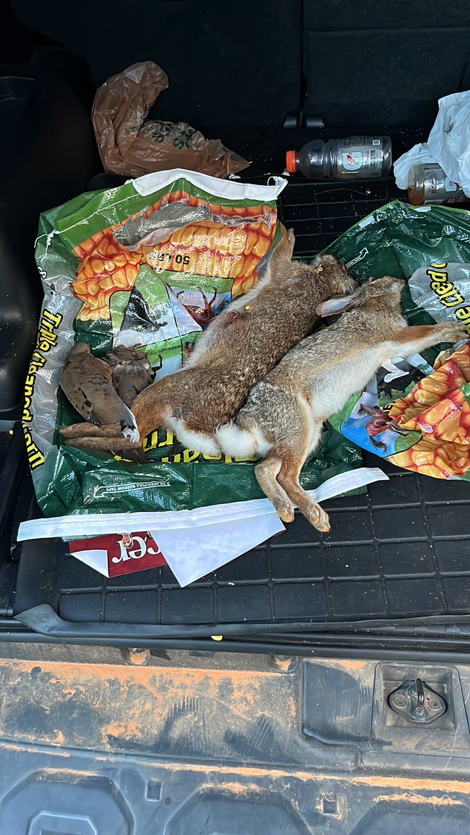 Hank decided to skip class and have a day instead