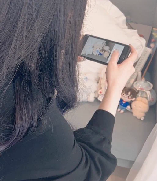 これはぴよちとヌンそしてぬい撮りをする私を撮るぴよち 