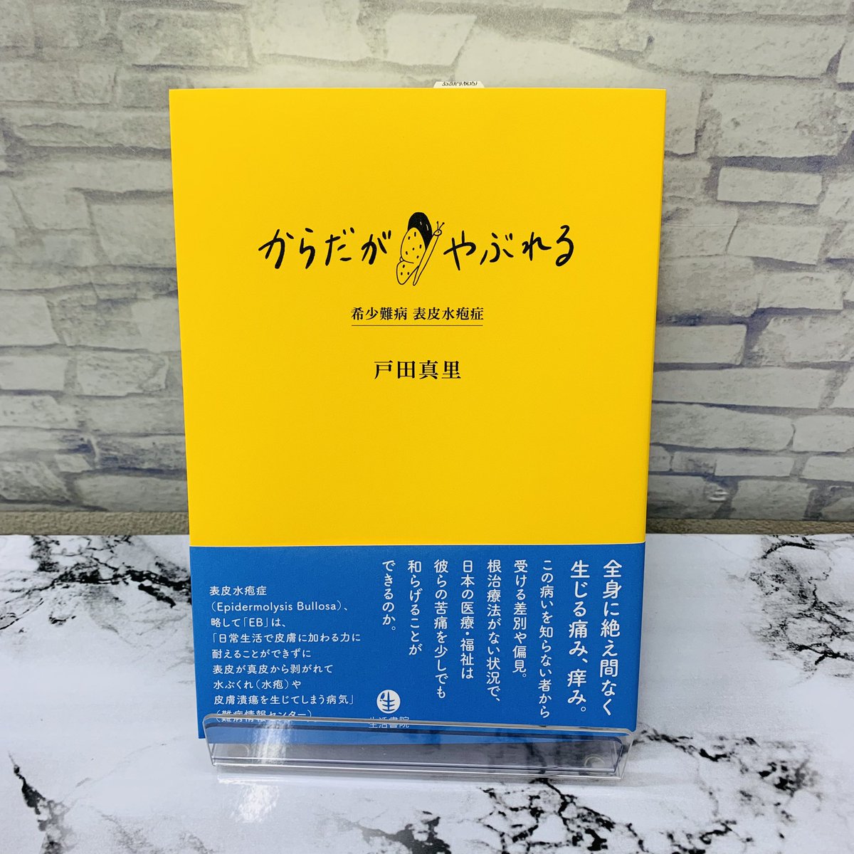 難病の子どもを知る本 全8巻 1～8巻 難病の子どもを知る本 全8巻 1～8巻