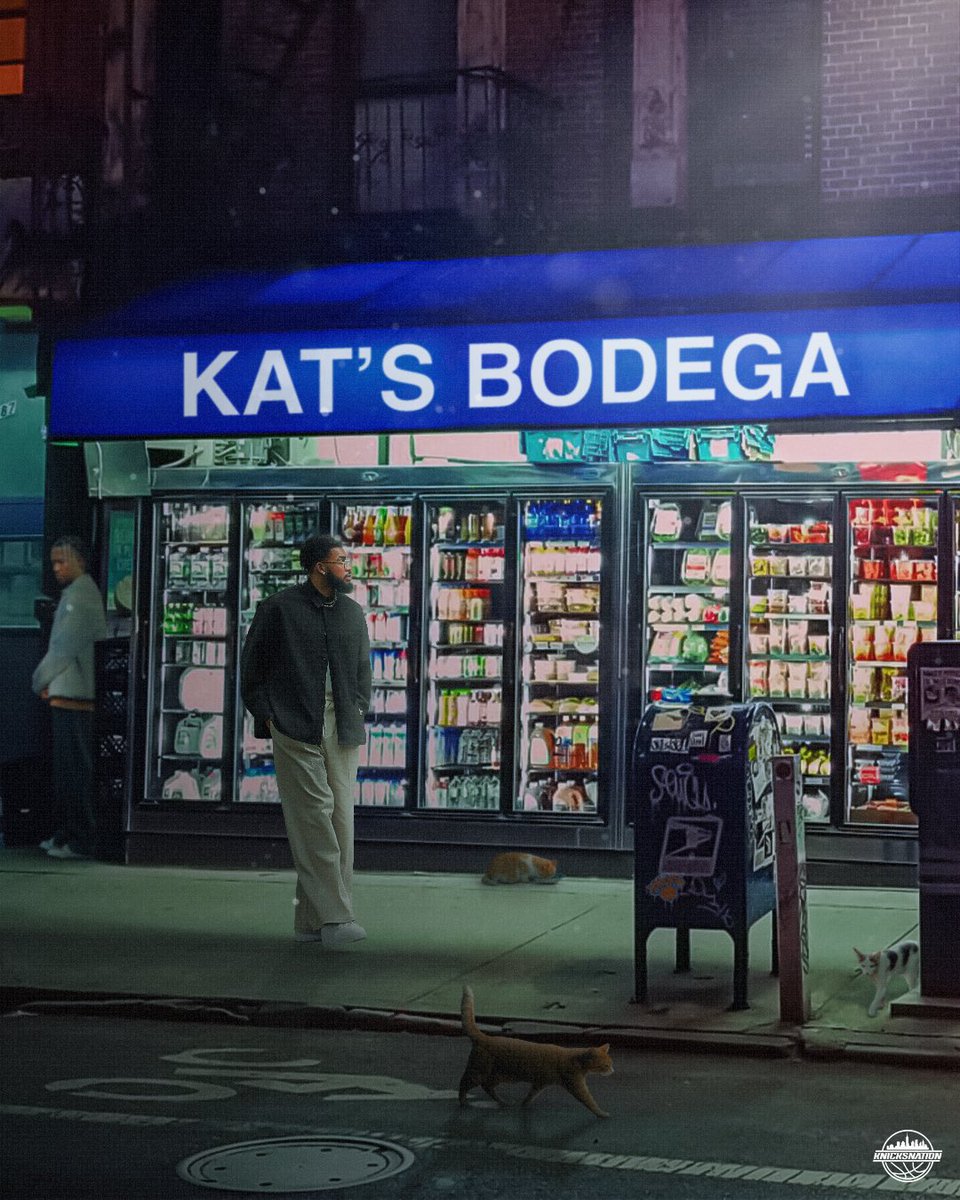 Welcome to the concrete jungle, KAT! 🏙️😼