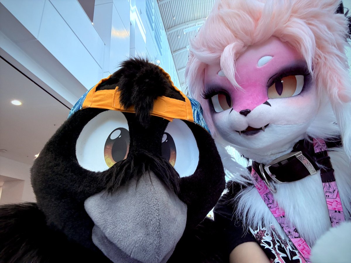 Mewzkil tweet picture
