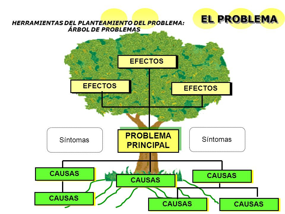 Fer_ben97's tweet photo. Me piden mi árbol de problema en la tesis/ mis problemas si fueran un árbol: https://t.co/RtaeBHVOek