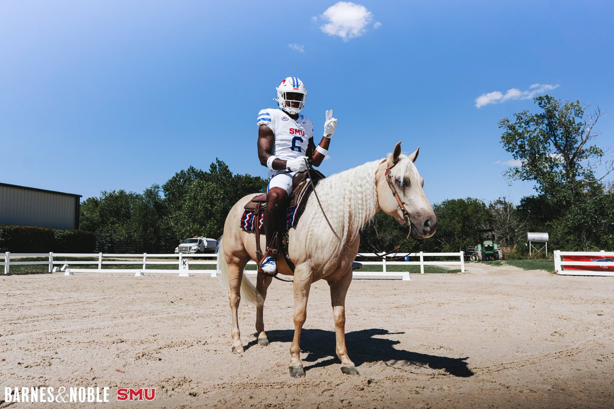 SMUFB's tweet photo. Pony (we cannot emphasize this enough) Up.

#PonyUpDallas | @SMUBookstore https://t.co/vzAWlaBhM5