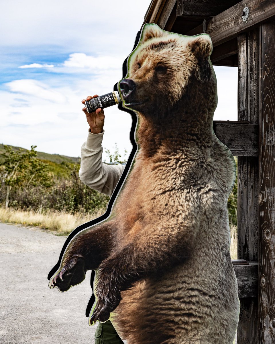 4WDCoffee's tweet photo. Bear wants cold brew, bear gets cold brew.

#4WDCoffee #coffee #outdoors #4WDlife #4WDstyle #gooutandexplore #glaciernationalpark https://t.co/7AzJaUCmt5
