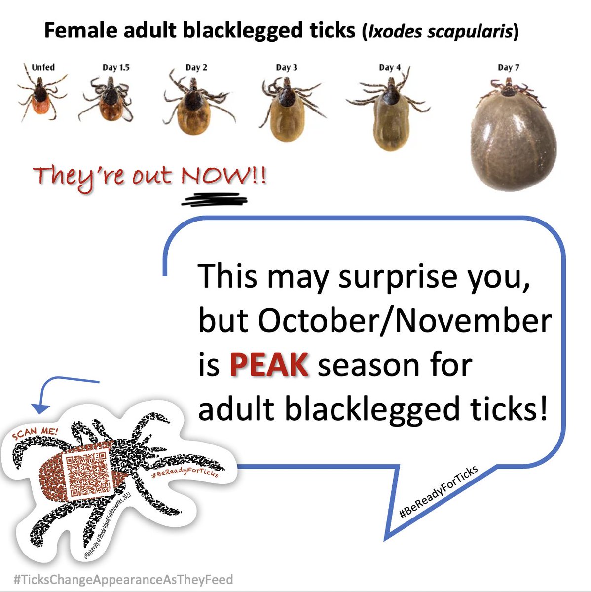 Thomas Mather (@thetickguy) on Twitter photo To learn more about adult blacklegged ticks and the risk they pose to you and your family, open this link (bit.ly/aboutBLTs), then click your region on the map and scroll down to see when these ticks are active in your area. To learn more about adult blacklegged ticks and the risk they pose to you and your family, open this link (bit.ly/aboutBLTs), then click your region on the map and scroll down to see when these ticks are active in your area.