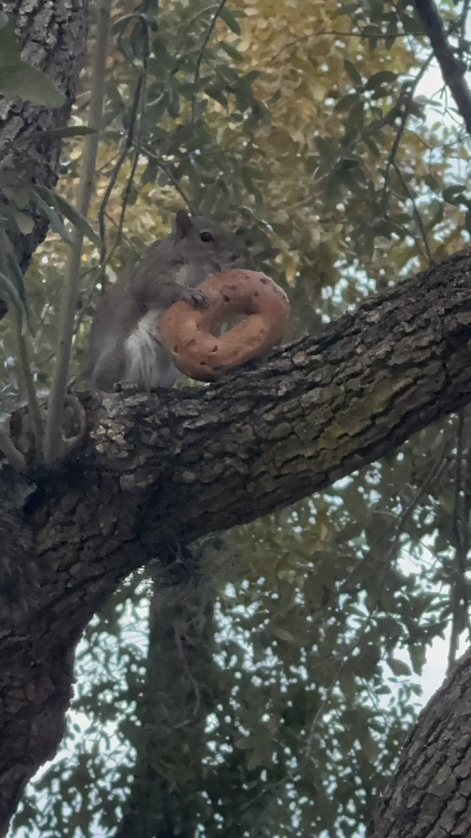 Been a good off day today and this is the proof