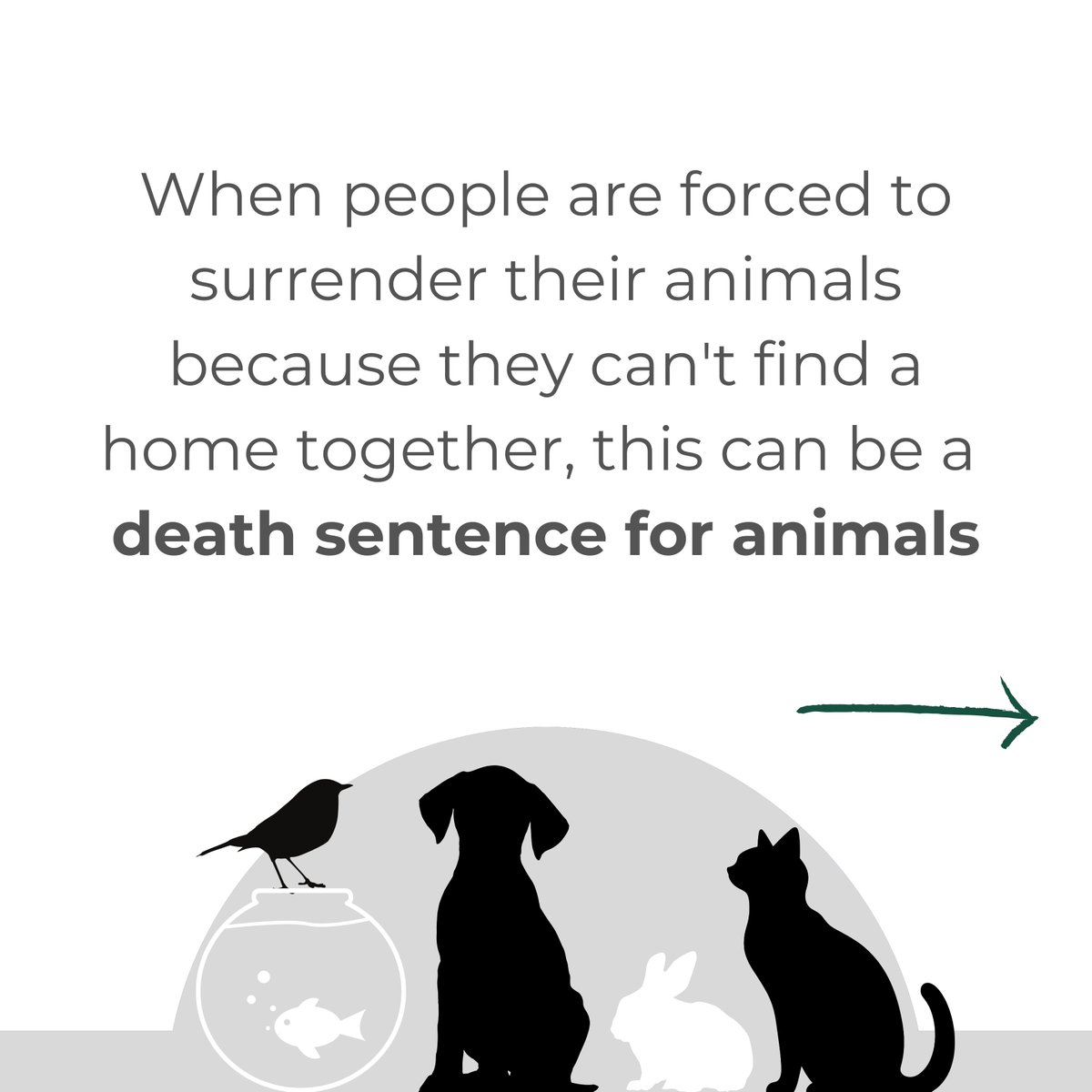 TUNSW's tweet image. Celebrate World Animal Day by taking action for renters and animals in NSW!

On this special day, let's remember that all animals deserve a safe home.

homesforall.good.do/nsw/

#WorldAnimalDay #HomesForAll #HomesForEveryone #RentersWithPets
#SafeHousing #EndViolence #DFV