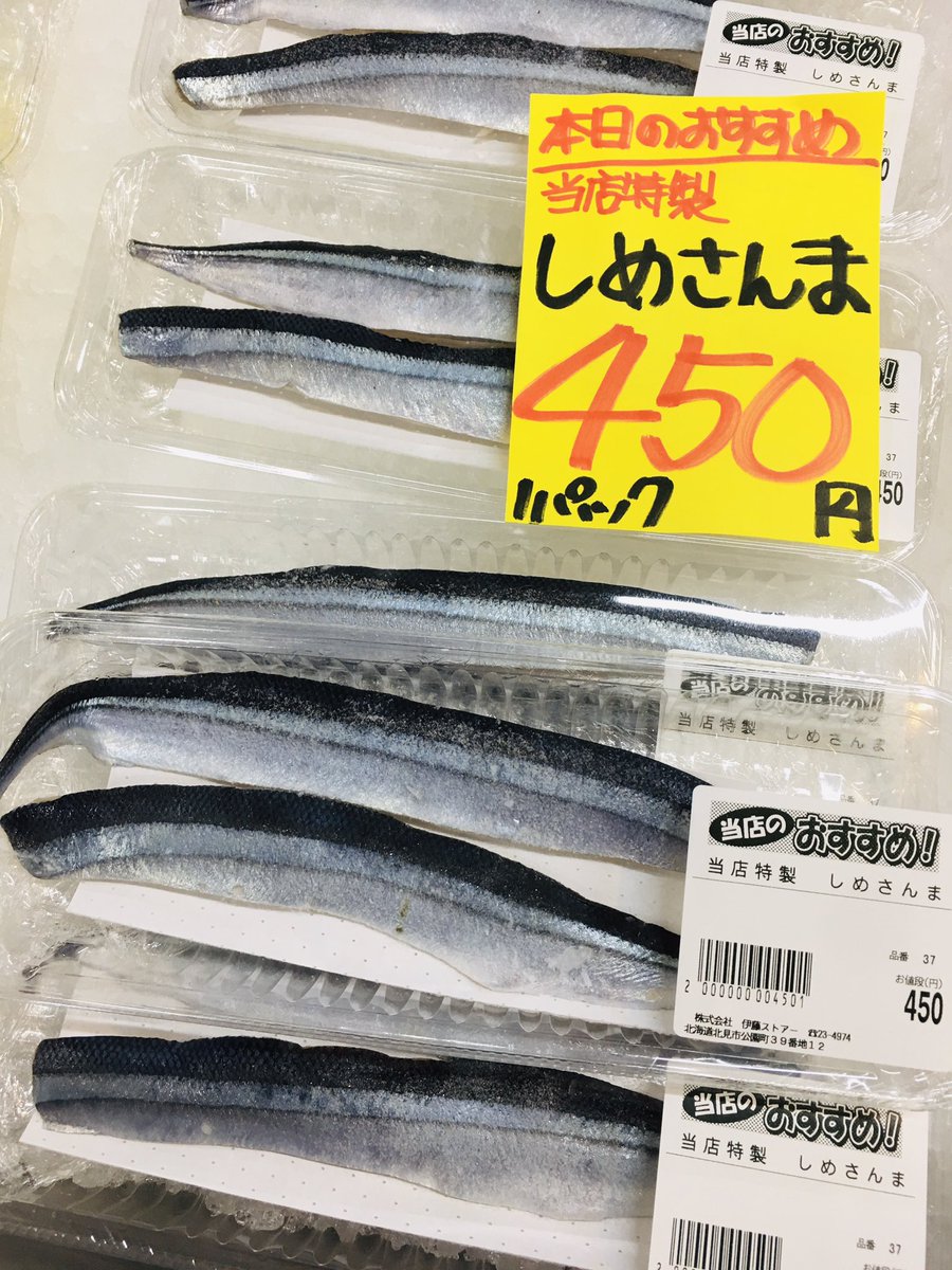 〆鯖 国産 しめ鯖 特大 片身約190g × 5枚 サバ 千葉県 銚子 真さば