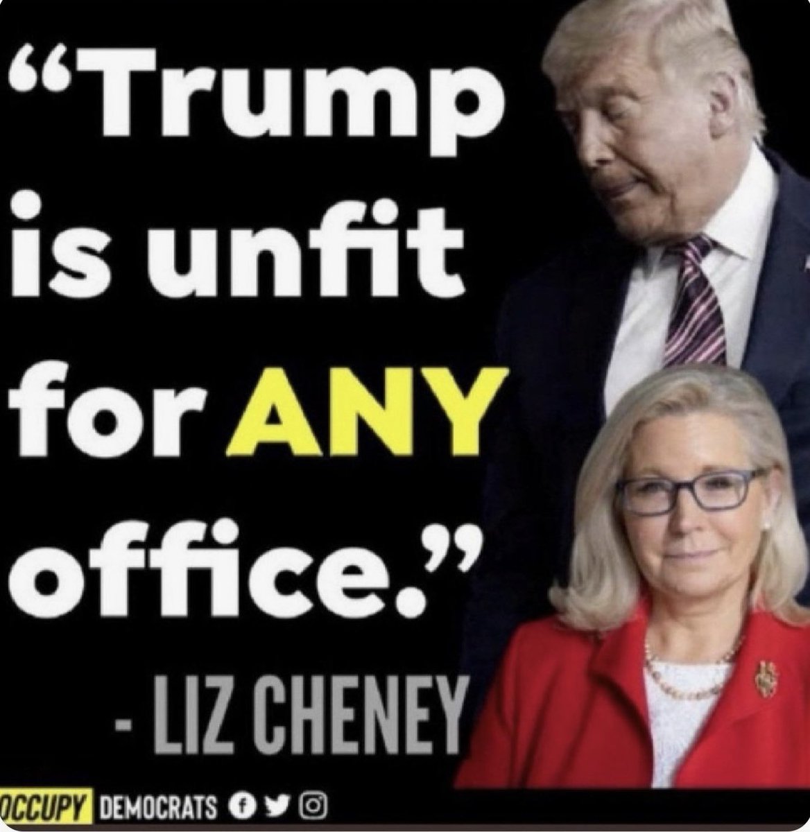Raise your hand 🖐️ and Repost if you agree with Liz Cheney!