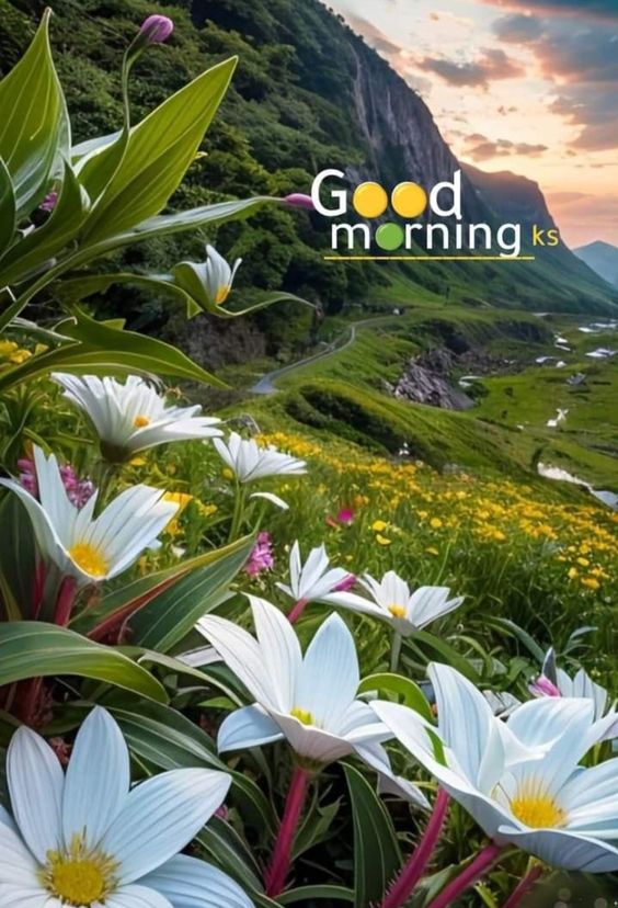 सुप्रभात साथियों