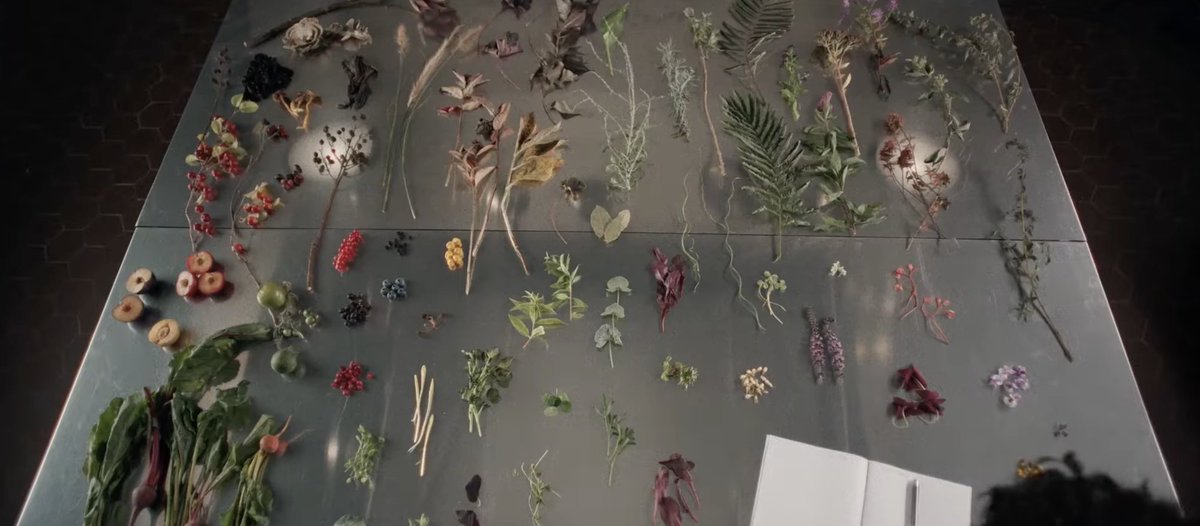 ‘House of Spoils’ Production Designer Alexandra Schaller Creates Destination Dining Environments For a Horror World

#HouseOfSpoils #ProductionDesign #ArianaDeBose

thecontending.com/house-of-spoil…