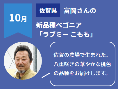flower_coll's tweet photo. 📣10月お届け商品の紹介コーナー

「花つくり名人 コース」

【佐賀県】
富岡さんの新品種ベゴニア
「ラブミー こもも」

育ててくれた方を見ることができるのが
花つくり名人コースのおすすめポイント✨✨

https://t.co/ZTKq77qGav https://t.co/3sG9gRwJmM