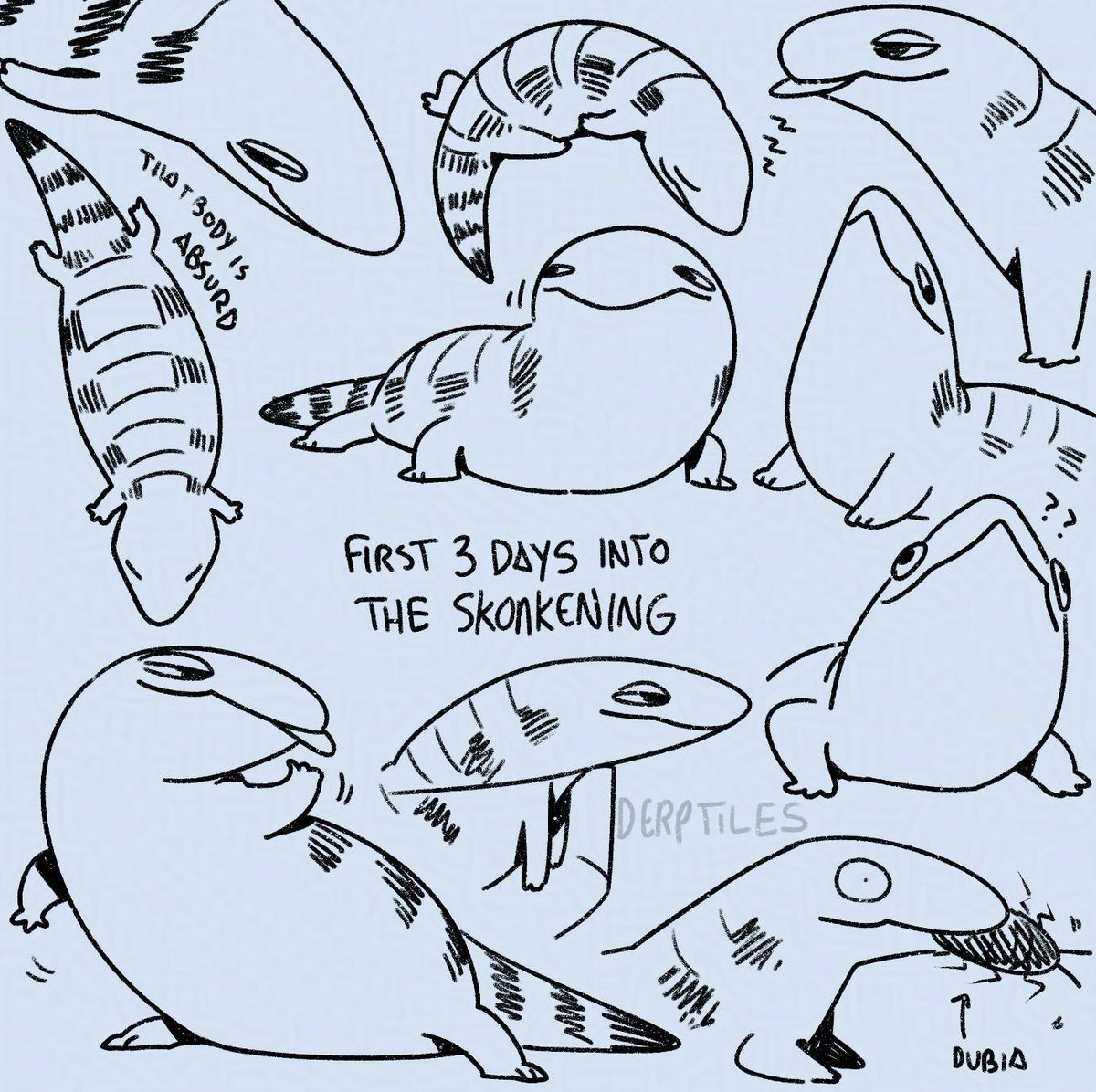 derptiles's tweet image. My experience so far keeping a blue tongue skink (my dream pet!)