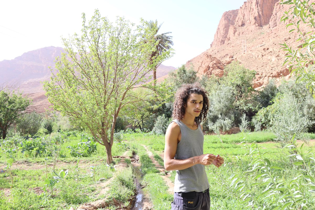 https_ayoub's tweet image. 